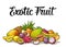 Set exotic fruits with calligraphic lettering. Vector vintage color engraving