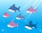 Set of family shark of colorful cartoon fish character