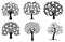 Set of family trees. Collection of black and white family tree silhouettes. Vector illustration of photo frames in the