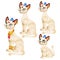 Set fantasy animated cats with Golden ornaments and a blue tuft isolated on white background. Vector illustration.