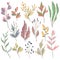 Set with fantasy plants and leaves. Decorative floral design elements