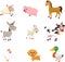 Set of farm animal cartoon