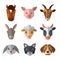 Set of farm animals in low poly style. Animal icon collection