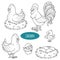 Set of farm animals and objects, vector family chicken