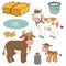 Set of farm animals and objects, vector family cows