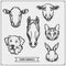 Set of farm animals and pets. Template for meat market, store, market and packaging.