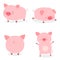 Set fat little cute pigs.The year of the pig. Funny pigs vector