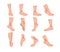 Set of feet in different angles in a cartoon style. Vector illustration of male and female legs on white background.