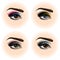Set of female eye with makeup. Beautiful eyes.