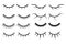 Set of female eyelashes