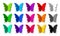 Set of fifteen colored paper butterflies with shadows