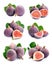 Set of figs fruits