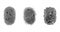 Set of Fingerprint patterns, clear lines and swirls. Human thumbprint. Icon, pictogram, logo. Black and white