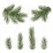 Set of fir branches for Christmas decor. Christmas tree branches close-up in a realistic style. EPS10