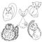 Set of five cute cats of different breeds, Simple linear animal coloring pages