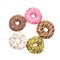 Set of five donuts on white background