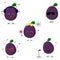 A set of five Kawaii cute plum purple fruit in a cartoon style. In headphones, in sunglasses, dancing in glasses , with a flower,