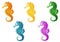 Set of five multi-colored sea horses