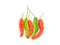 Set of five peppers red green long sharp alternating on white