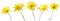 Set of Five Yellow Daisy Flowers