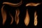 Set of flames isolated on black background