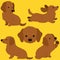 Set of flat colored adorable red Miniature Dachshund illustrations