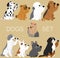 Set of flat colored cute and simple dogs sitting and waving