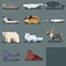 Set of flat geometric animals of Arctic