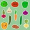 Set of flat icons of vegetable smiles stickers on a green background.