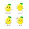 A set of flat lemon character with cute expression