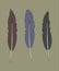 Set of flat simple feather vintage color illustration