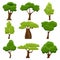 Set of flat stylized trees. Cartoon garden green tree. Nature environment organic forest and park. Spring or summer