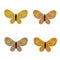 set of flat vector spring summer colors butterflies