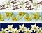 Set of floral bookmarks, flyers with white and yellow vanilla colors for layout, corporate identity and design. Realistic vector