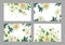 Set of floral card luxury pattern set. Delicate pastel white garden aster peonies white background