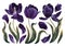 Set of floral elements with dark violet, navy blue tulips flowers leaves and petals.