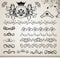 Set floral ornate design elements (5)