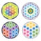 Set of Flower of Life Icons / Symbols Multicolored and Rainbow Colors