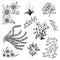 Set of flower sketch vector,free hand drawing doodle sketch on white background