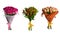 Set flowers bouquet isolated