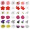 Set of flowers. Plants illustration in a vector for use in decorating, creating bouquets.