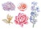 Set with flowers. Rose. Lily. Peony. Hyacinth. Watercolor illustration.