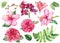 Set of flowers roses, lily, hibiscus, orchid, green leaves on an isolated white background, watercolor clipart