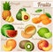 Set of food icons. Fruits. Pineapple ananas , avocado, mandarin tangerine , watermelon, melon cantaloupe , lime, peach