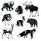 Set of forest animals black white