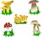 Set of forest mushrooms in color. Fresh organic food. Isolated vector illustration