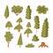 Set of forest tree and bush icon flat clipart isolated on white. Scandinavian hand drawn wood park, wild plant, stump cartoon