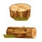 Set forest wooden stump tree trunk cut section and log with grass in cartoon style isolated. Plant detailed
