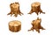 Set forest wooden stump tree trunk with roots, cut section in cartoon style isolated. Plant detailed