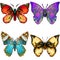 Set of four brightly coloured butterflies